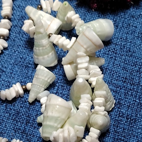 Shell Necklace - Picture 5 of 5